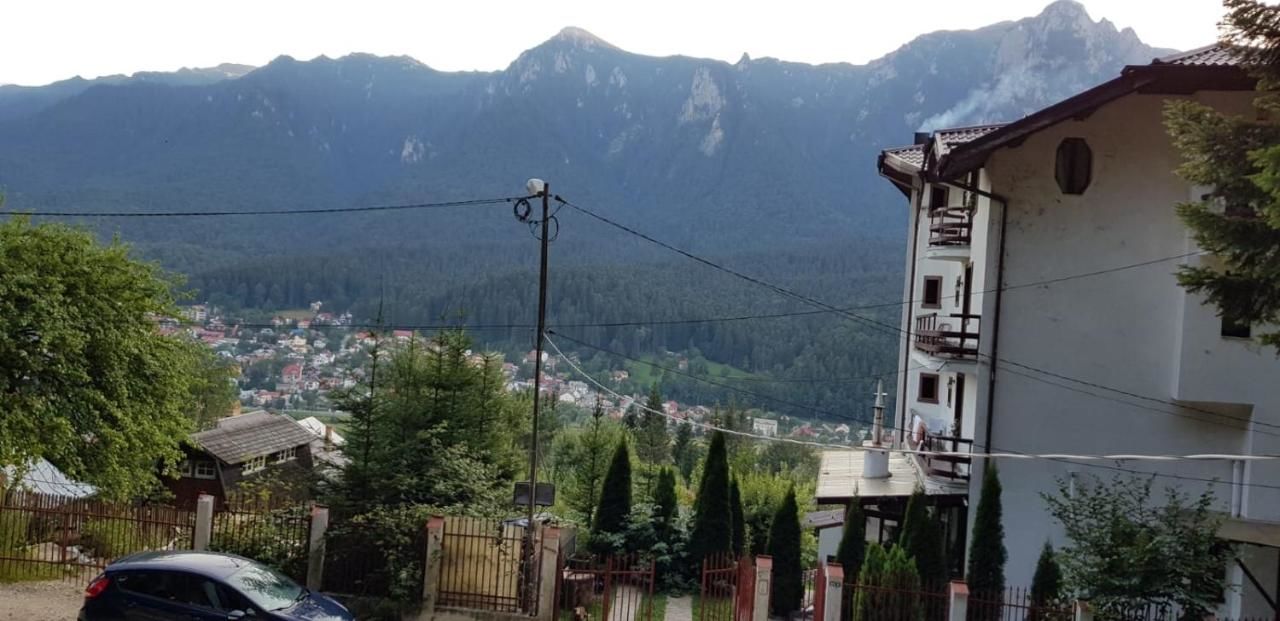Гостевой дом Vila Alunis Буштени
