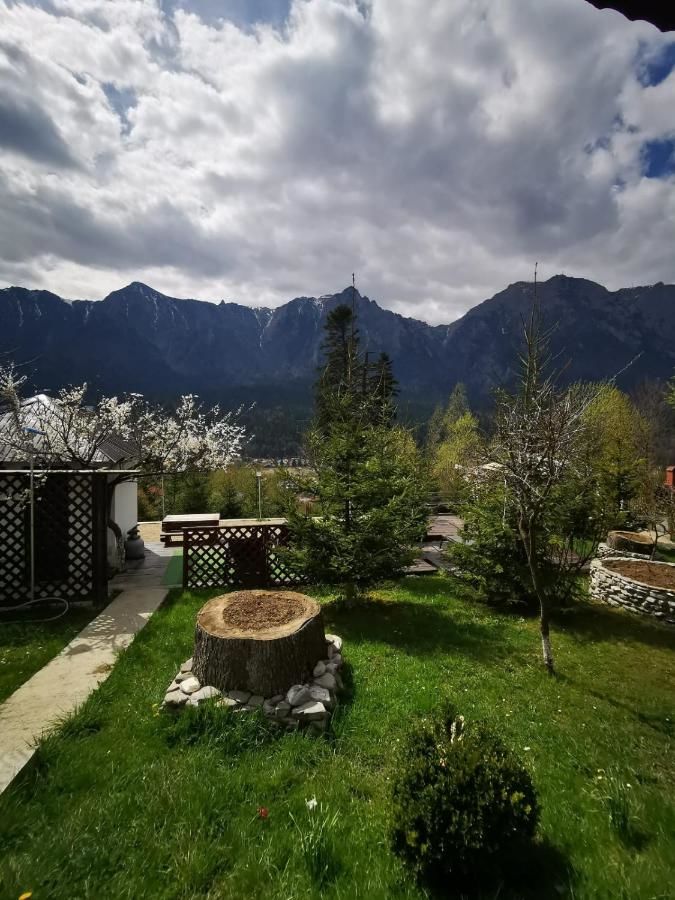 Гостевой дом Vila Alunis Буштени-20