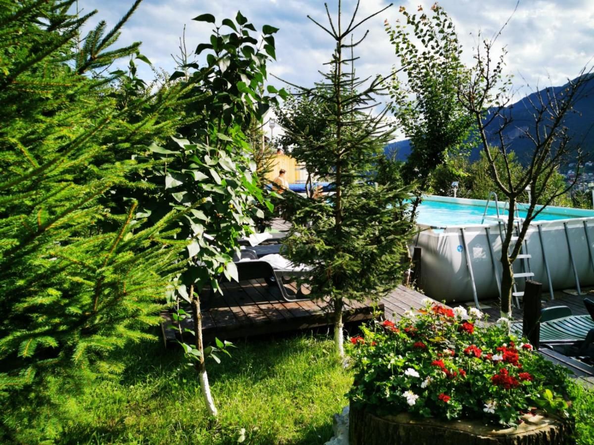 Гостевой дом Vila Alunis Буштени-21