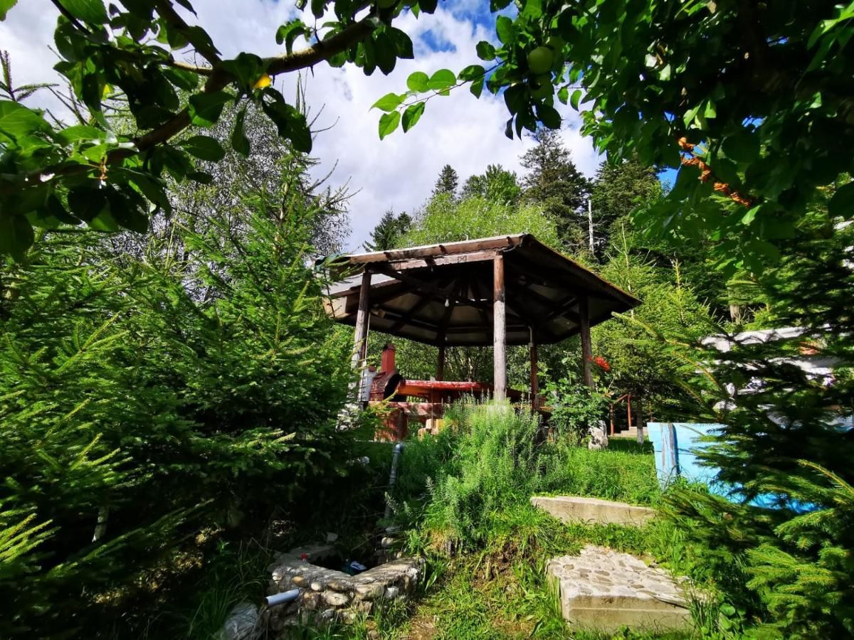 Гостевой дом Vila Alunis Буштени-23