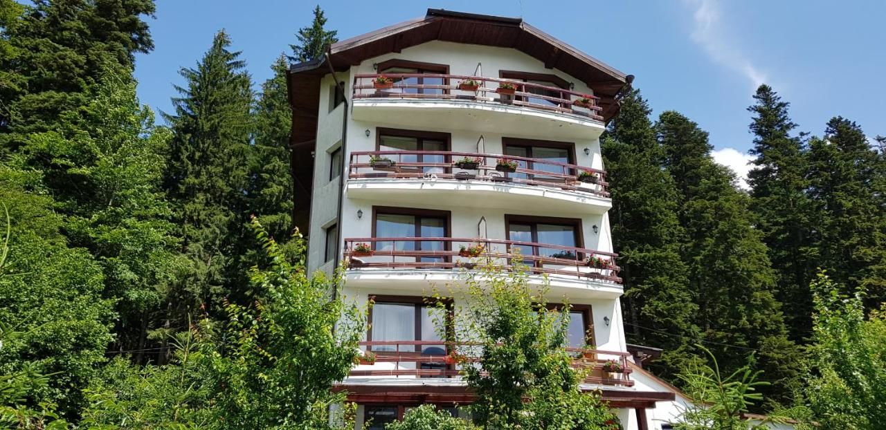 Гостевой дом Vila Alunis Буштени