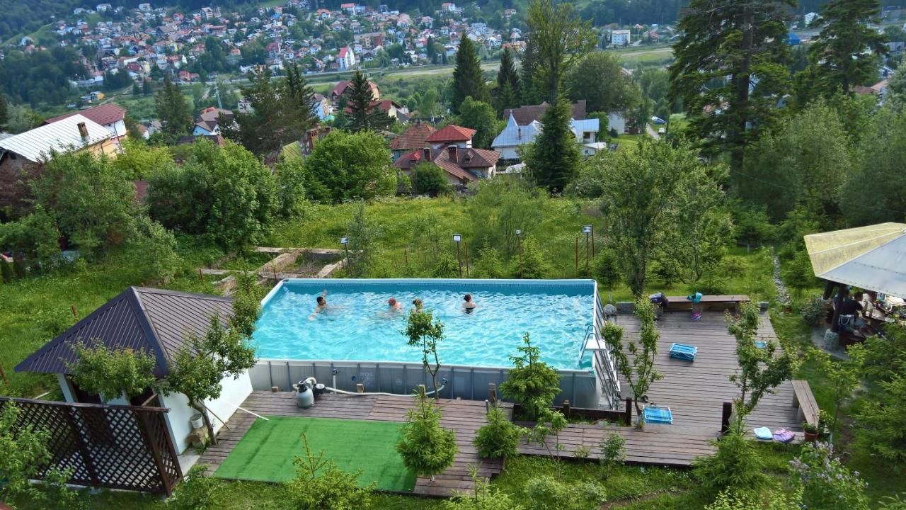 Гостевой дом Vila Alunis Буштени-29