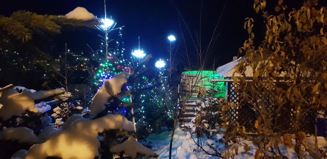Гостевой дом Vila Alunis Буштени