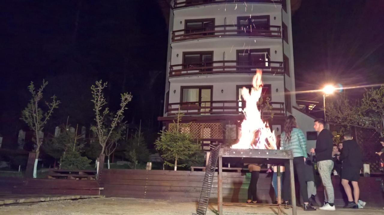 Гостевой дом Vila Alunis Буштени
