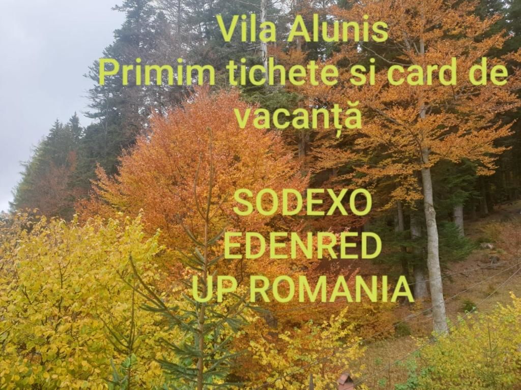 Гостевой дом Vila Alunis Буштени
