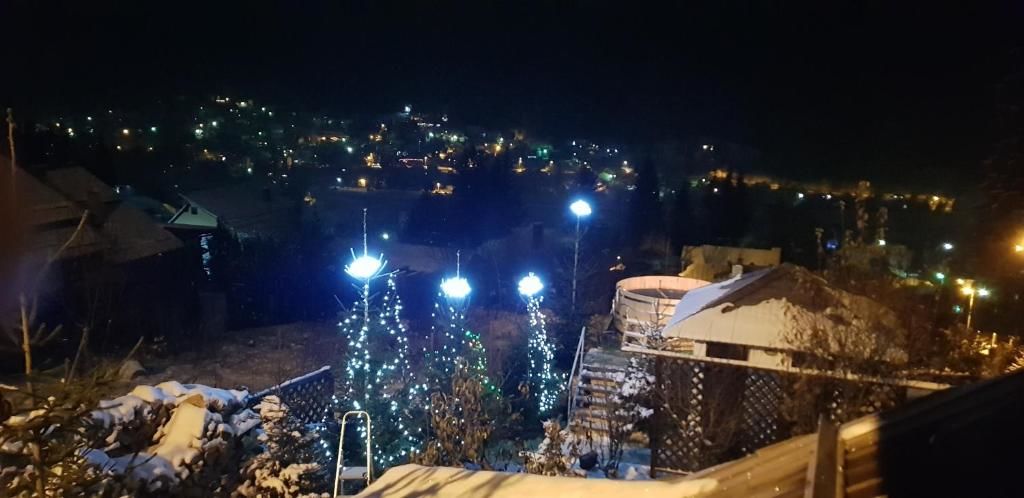 Гостевой дом Vila Alunis Буштени