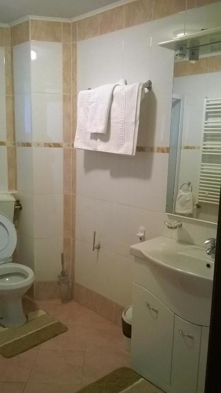 Гостевой дом Vila Alunis Буштени