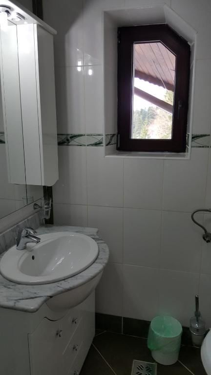 Гостевой дом Vila Alunis Буштени