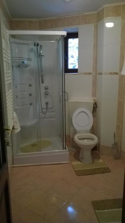 Гостевой дом Vila Alunis Буштени