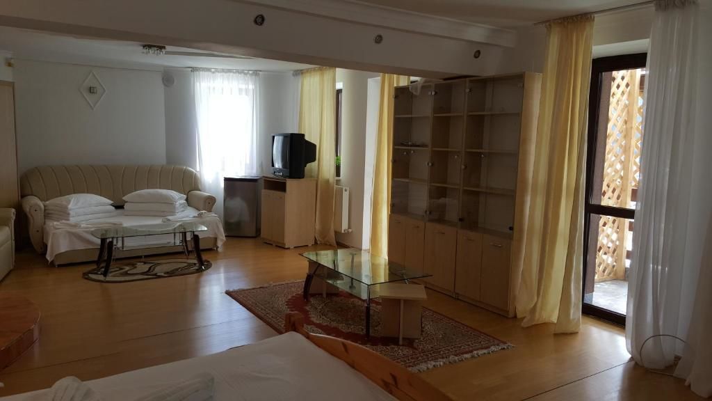 Гостевой дом Vila Alunis Буштени-93